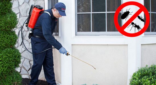 Pozantı Akrep İlaçlama böcek ilaçlama ve haşere kontrolü — ilaclama-tr.com